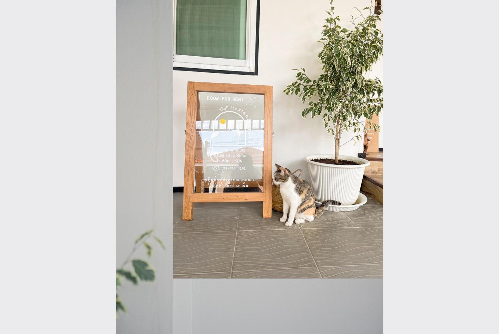 Sleepy House Chiang Rai Bed & Breakfast Екстериор снимка