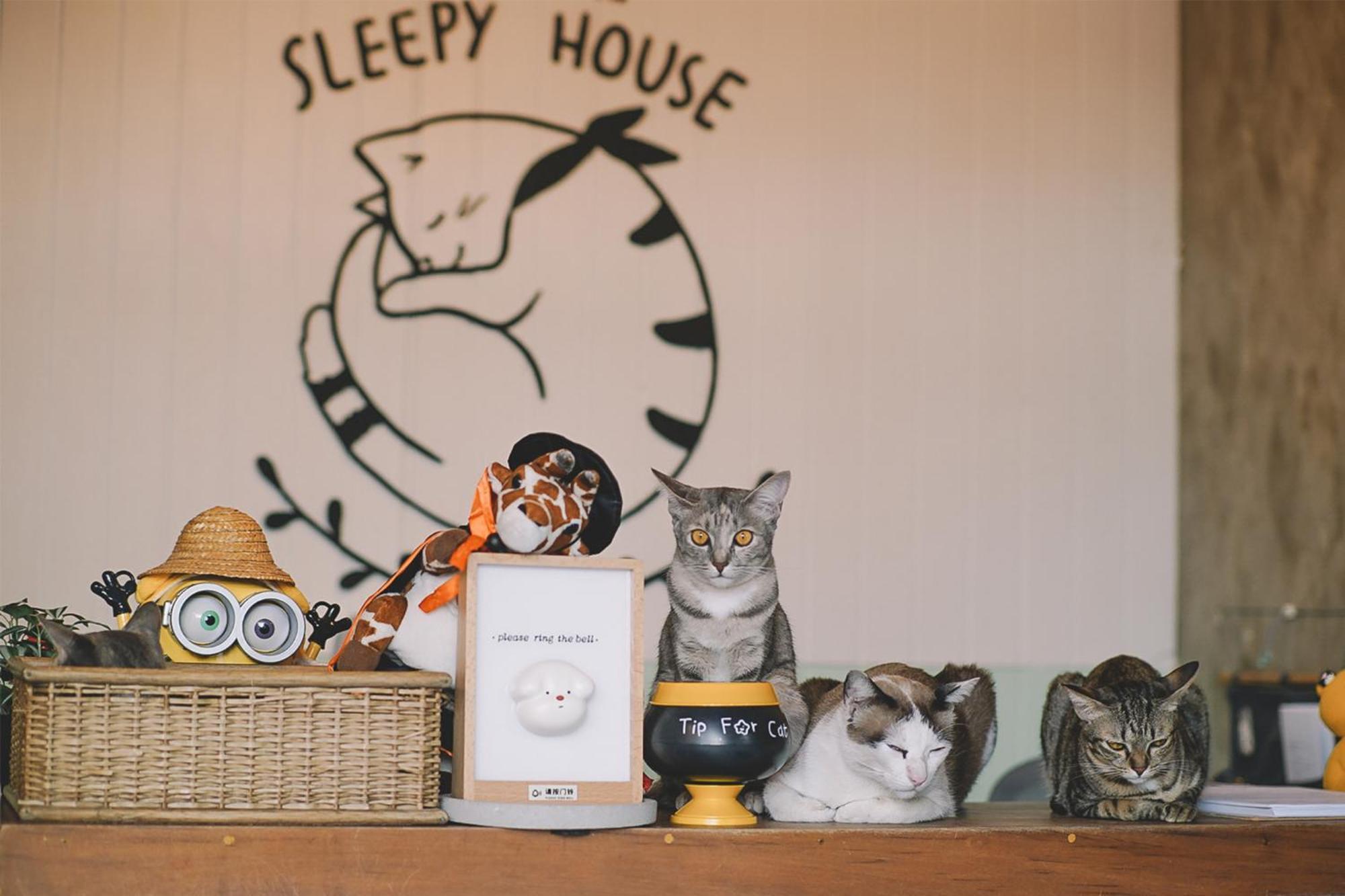 Sleepy House Chiang Rai Bed & Breakfast Екстериор снимка