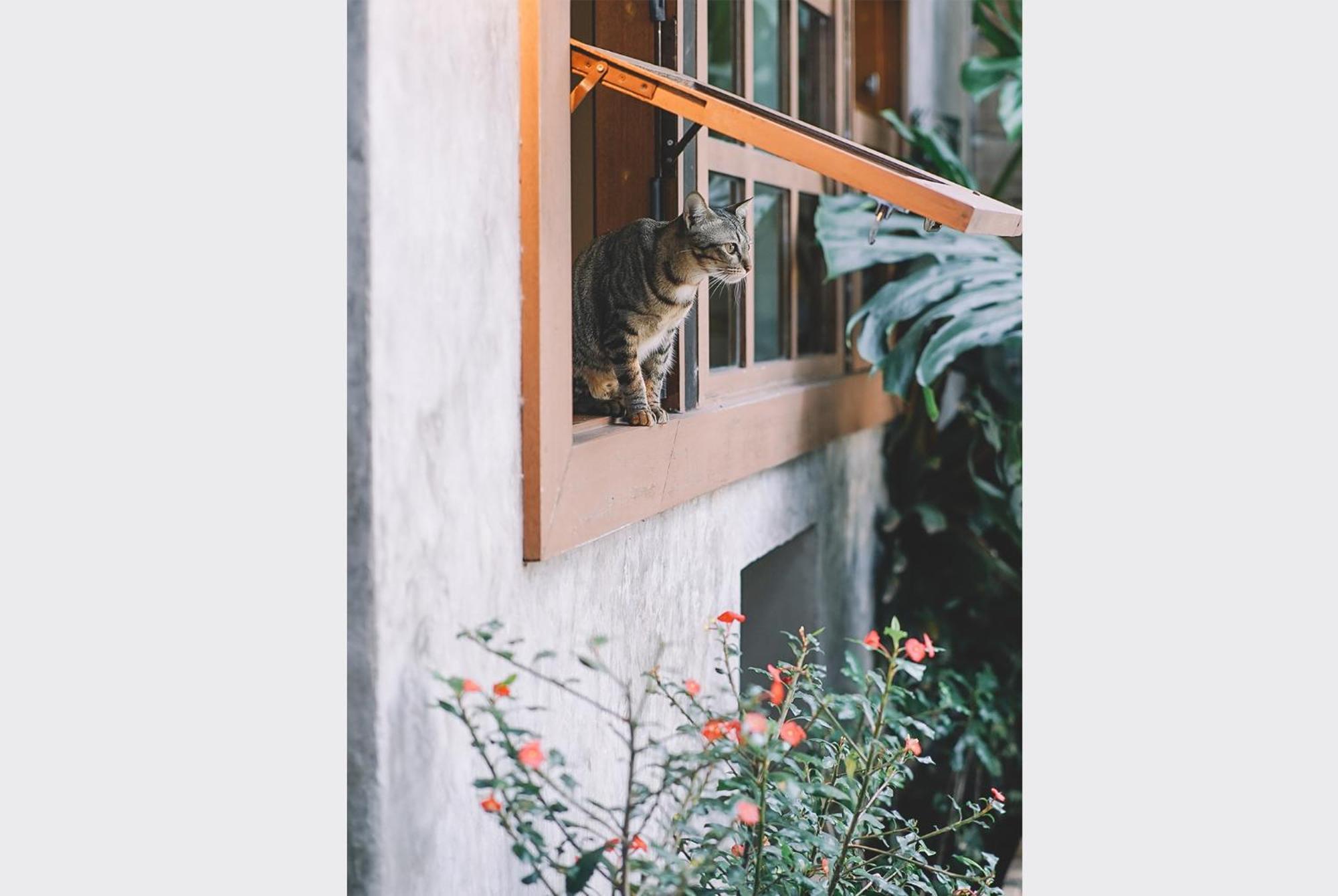 Sleepy House Chiang Rai Bed & Breakfast Екстериор снимка